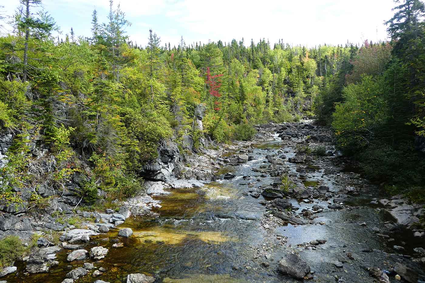 Corner Brook Stream Trail