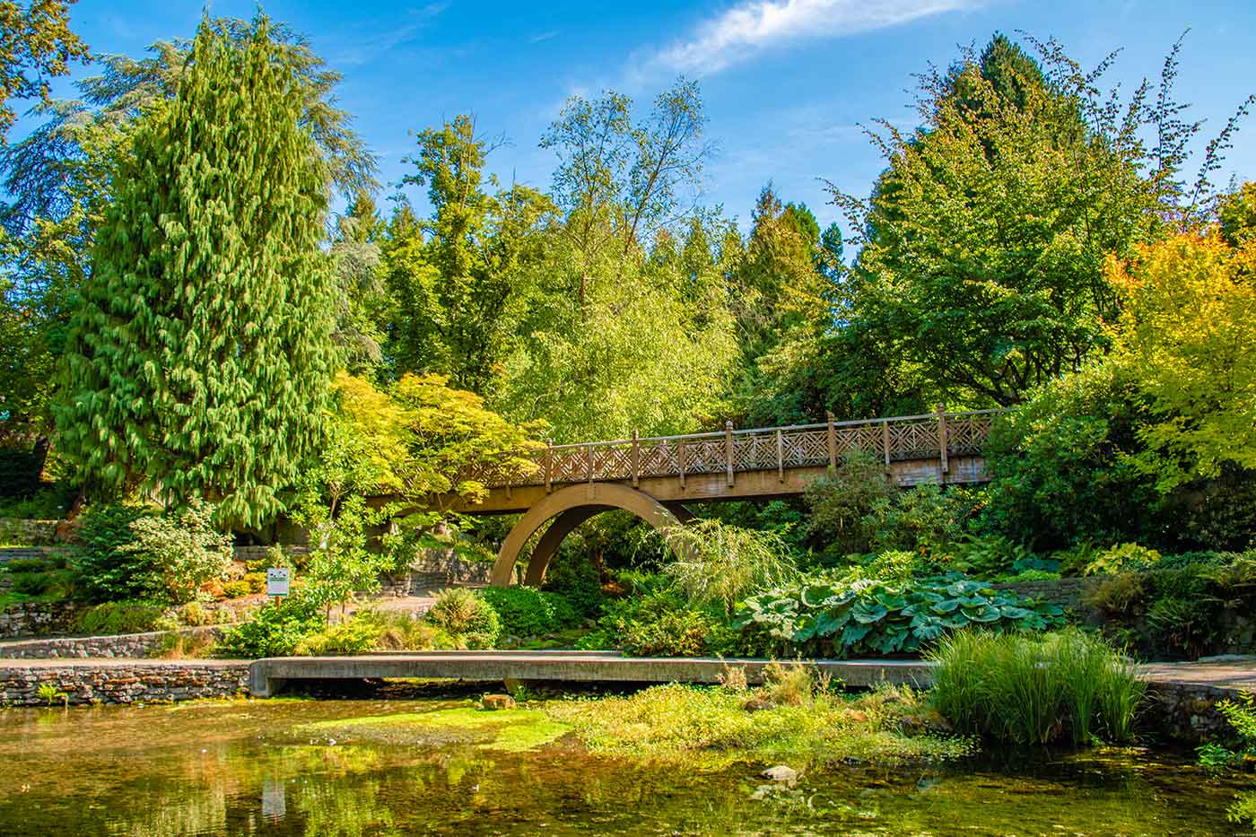 Crystal Springs Rhododendron Garden