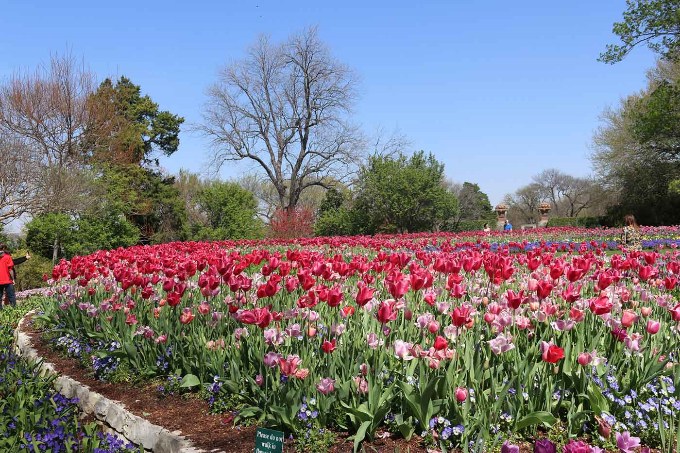 Dallas Arboretum & Botanical Garden