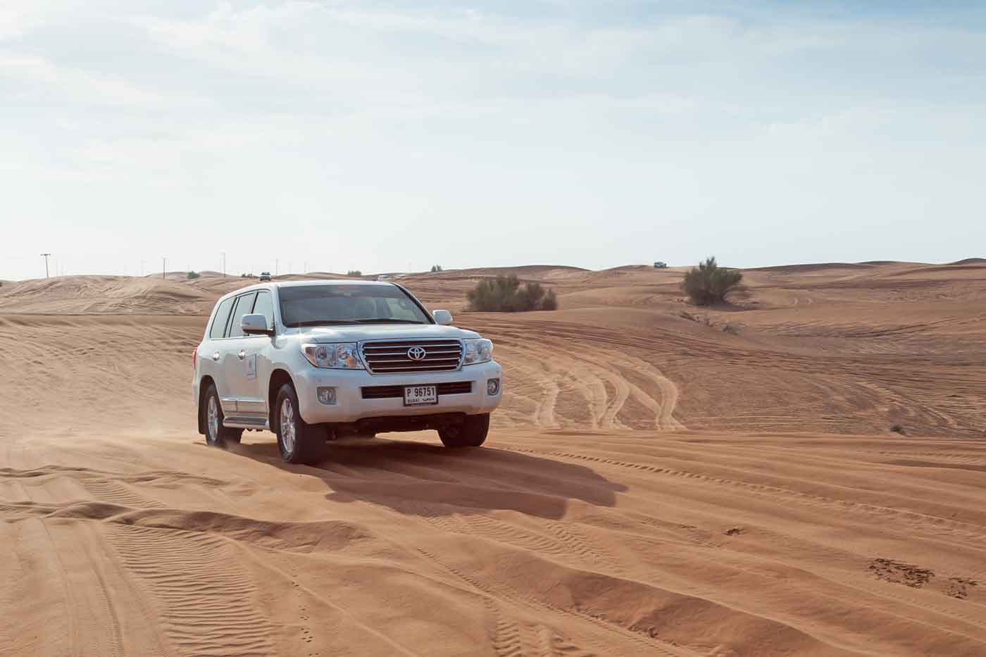 Sharjah Desert Safari