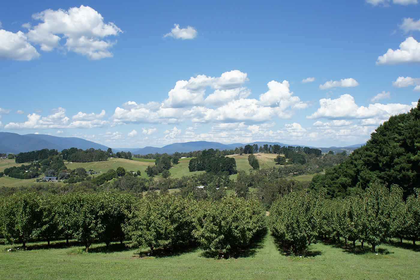 Yarra Valley