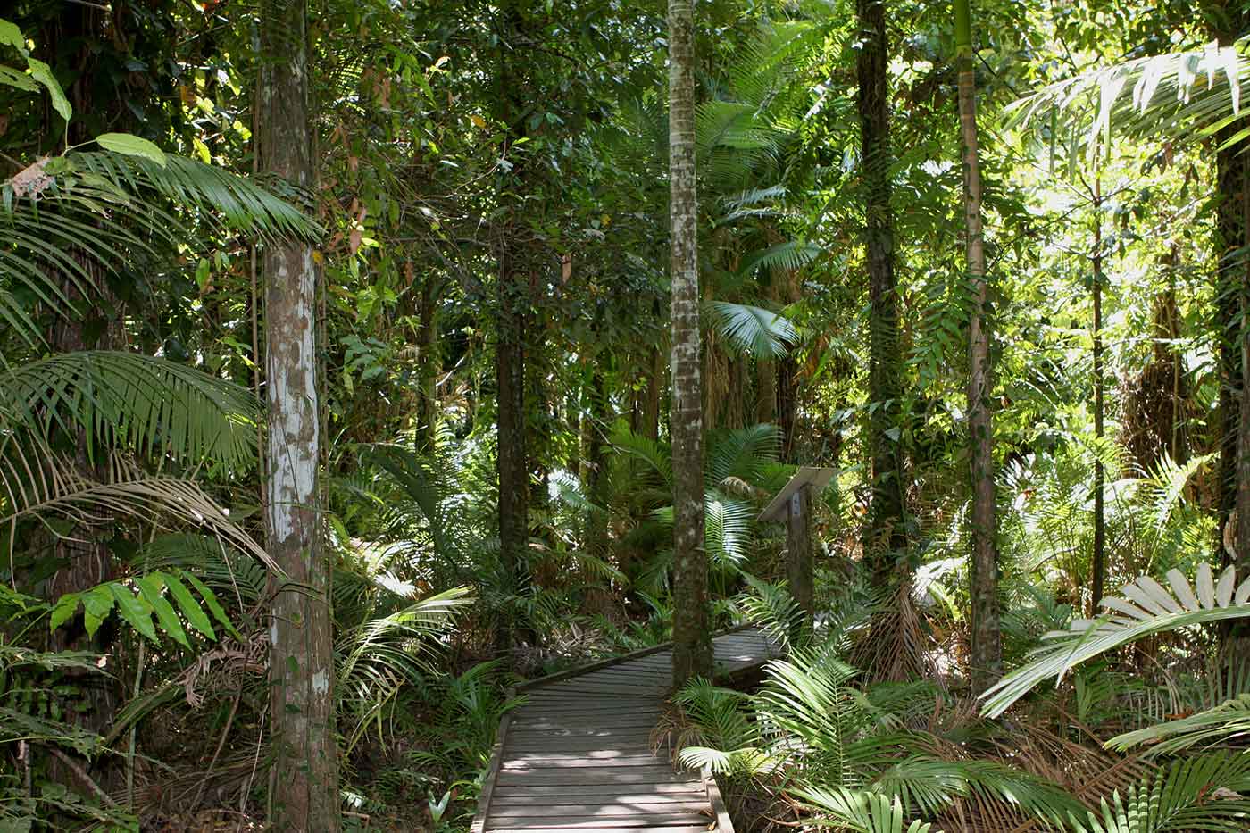 Cairns Botanic Gardens