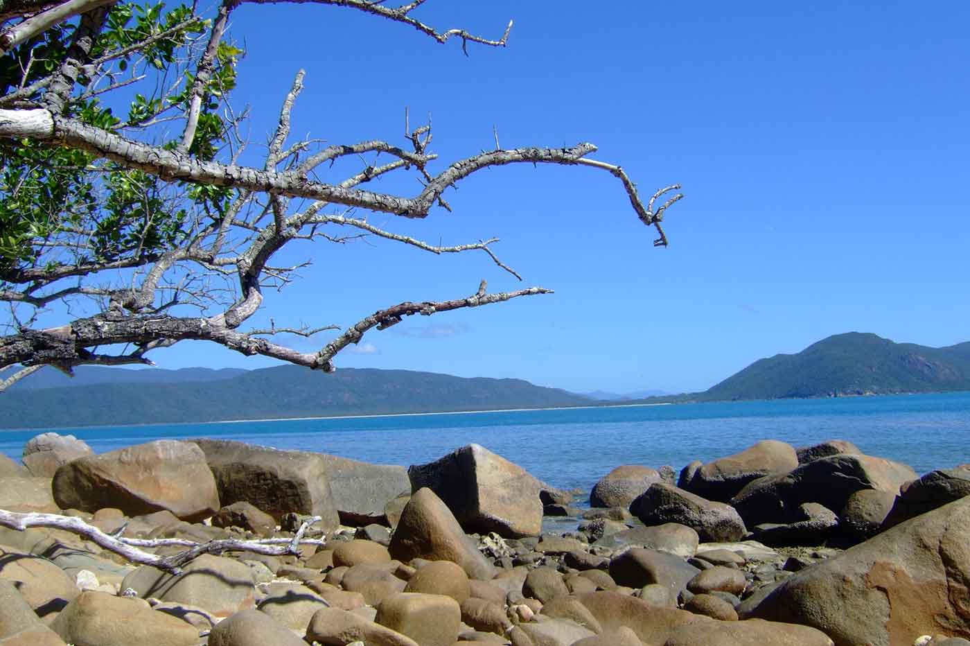 Fitzroy Island