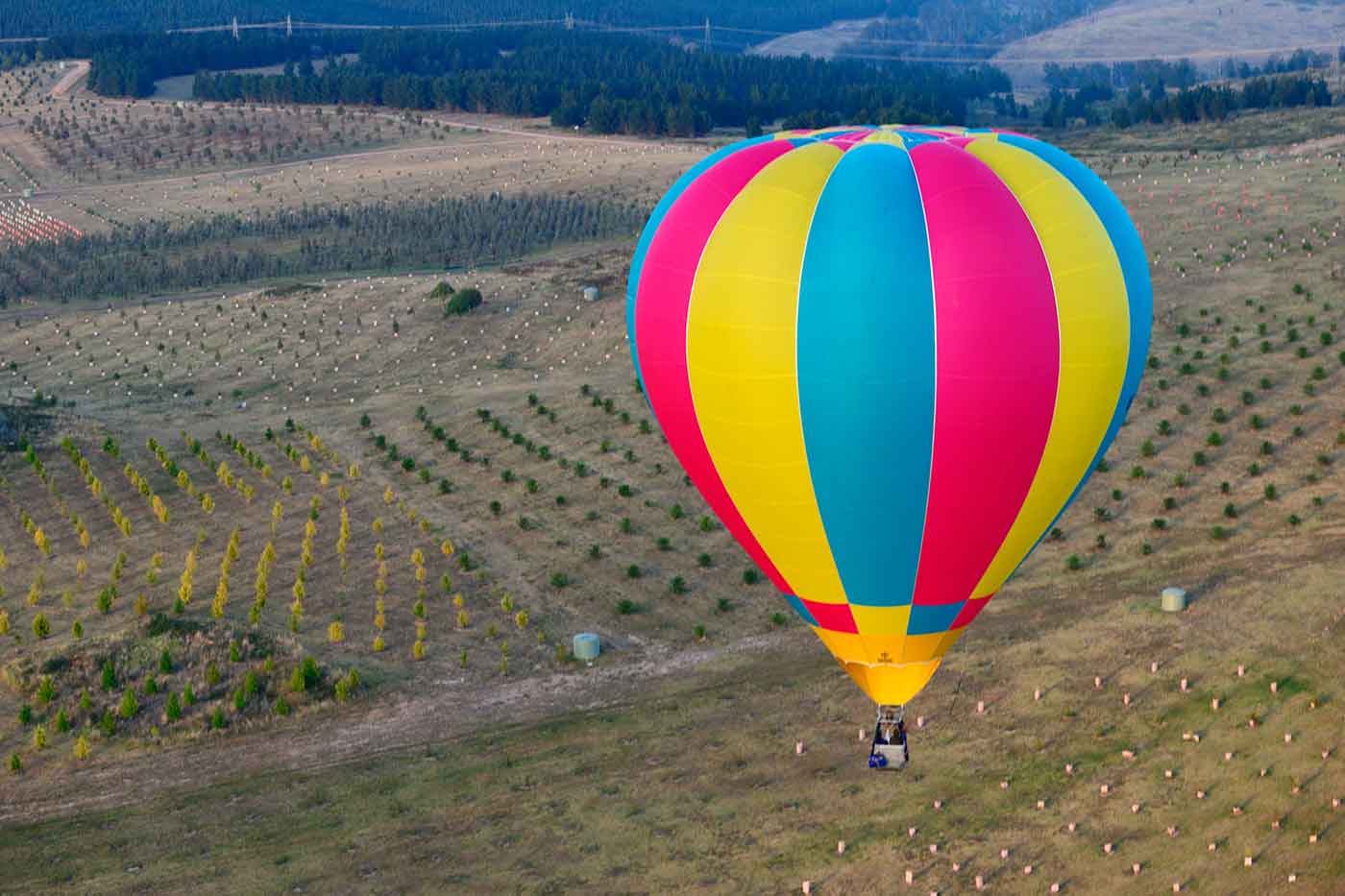 Hot Air Balloon Ride