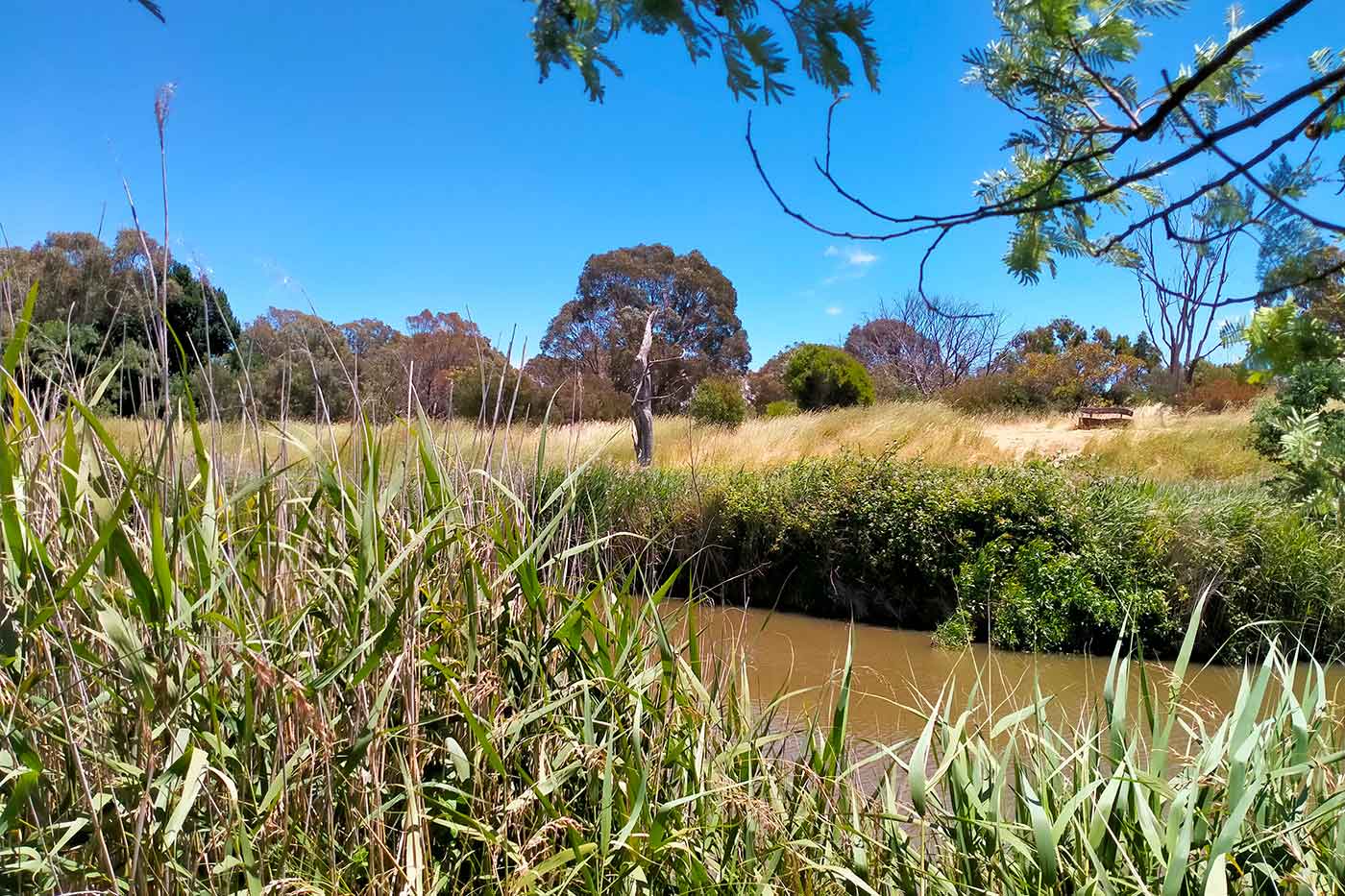 Jerrabomberra Wetlands Nature Reserve