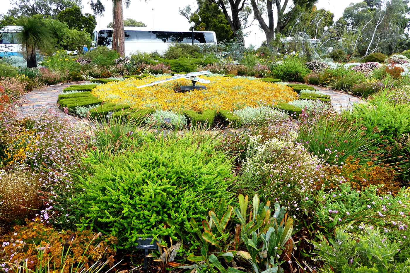 Kings Park & Botanic Garden