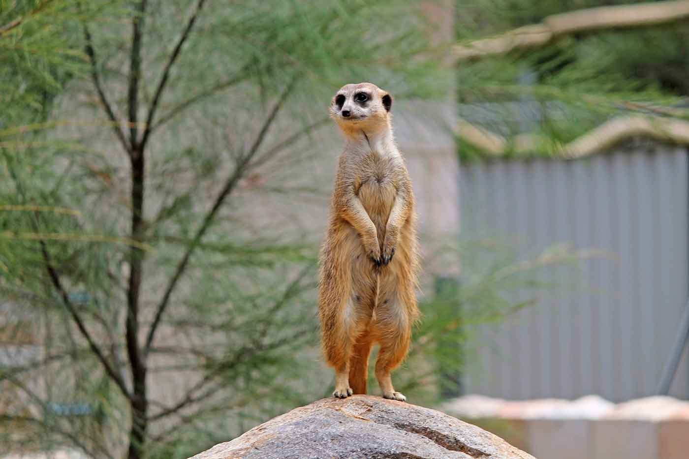 National Zoo & Aquarium