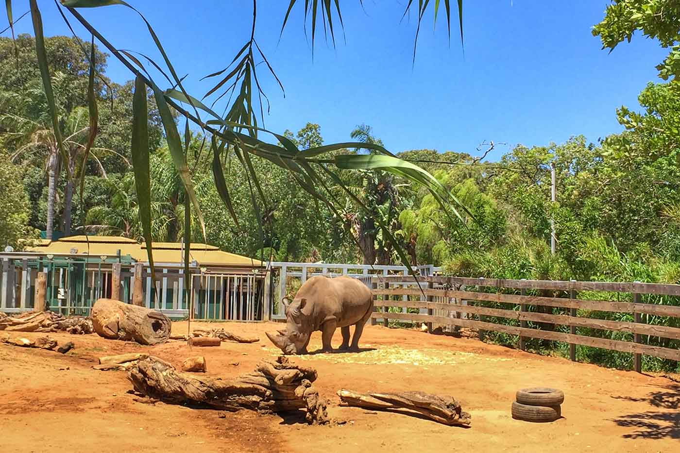 Perth Zoo