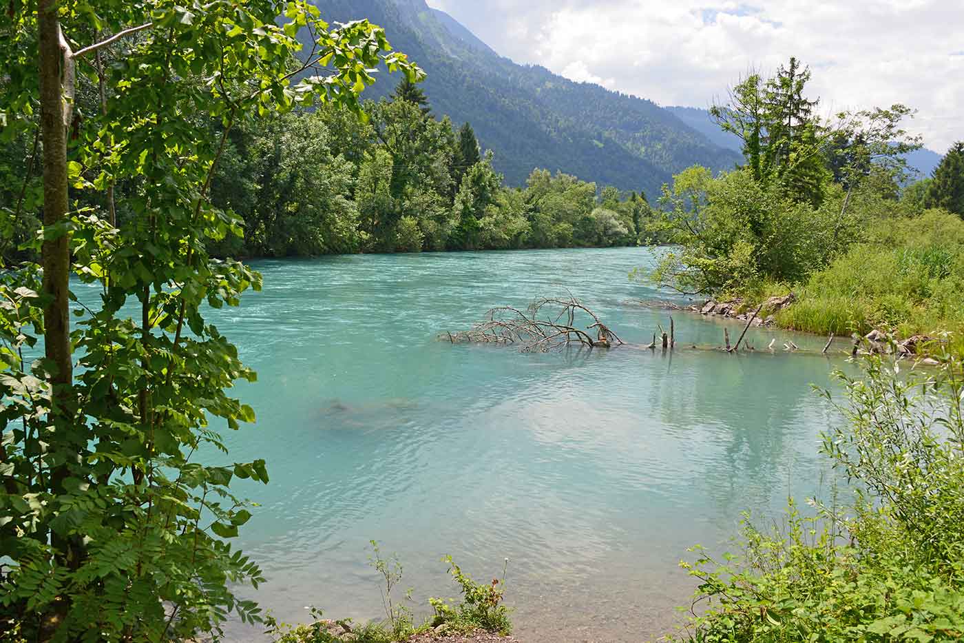 Weissenau Nature Reserve