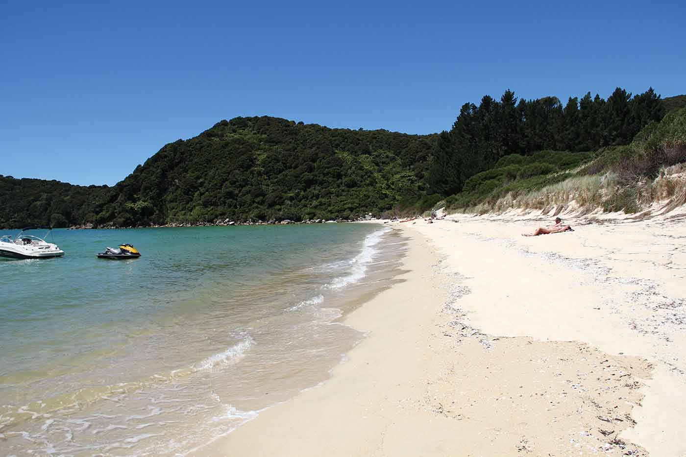Awaroa Beach