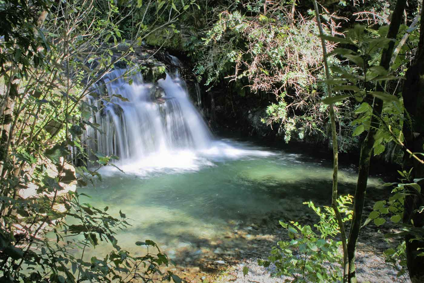 The Brook Waimarama Sanctuary