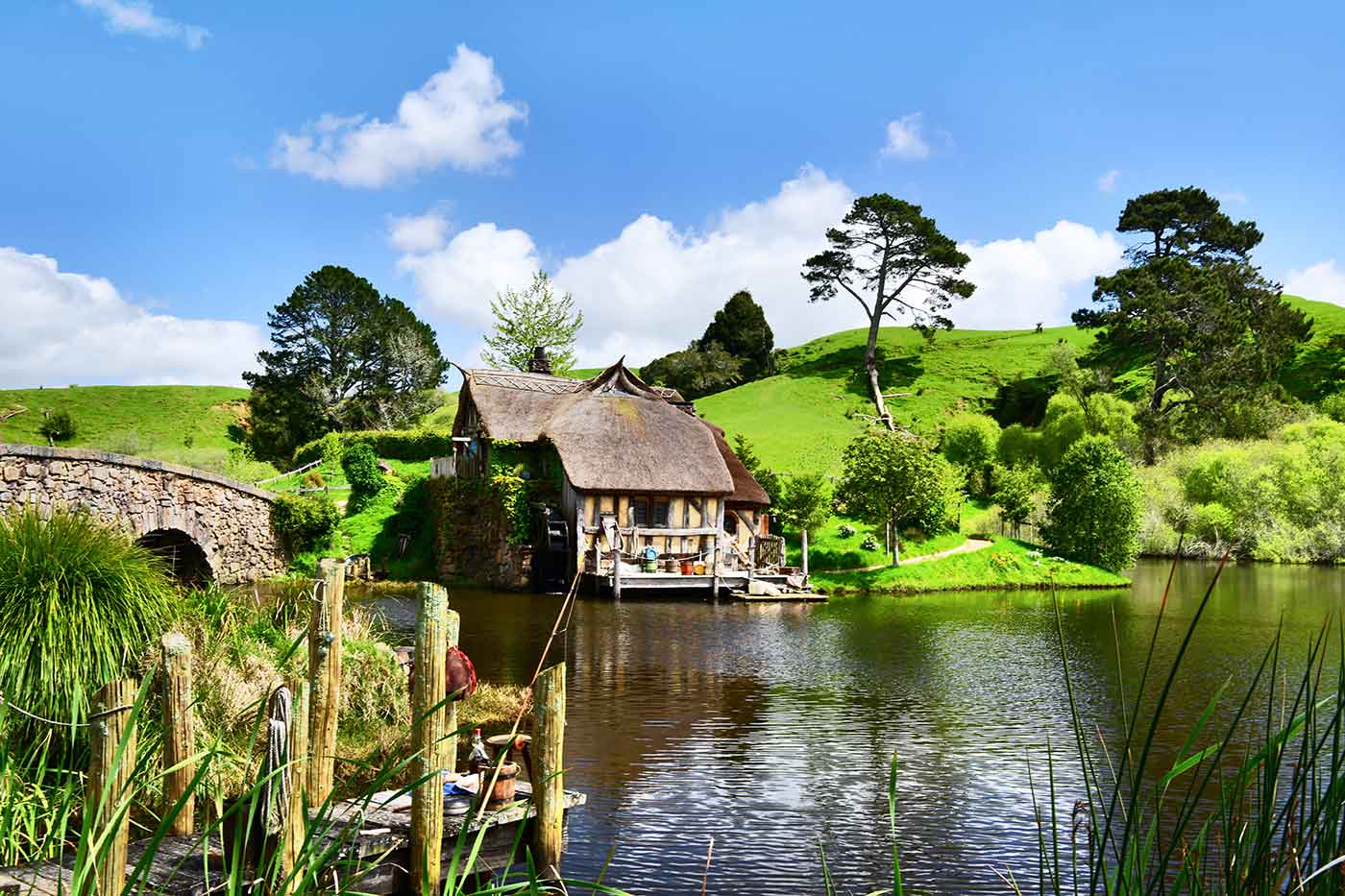 Hobbiton Movie Set Tour