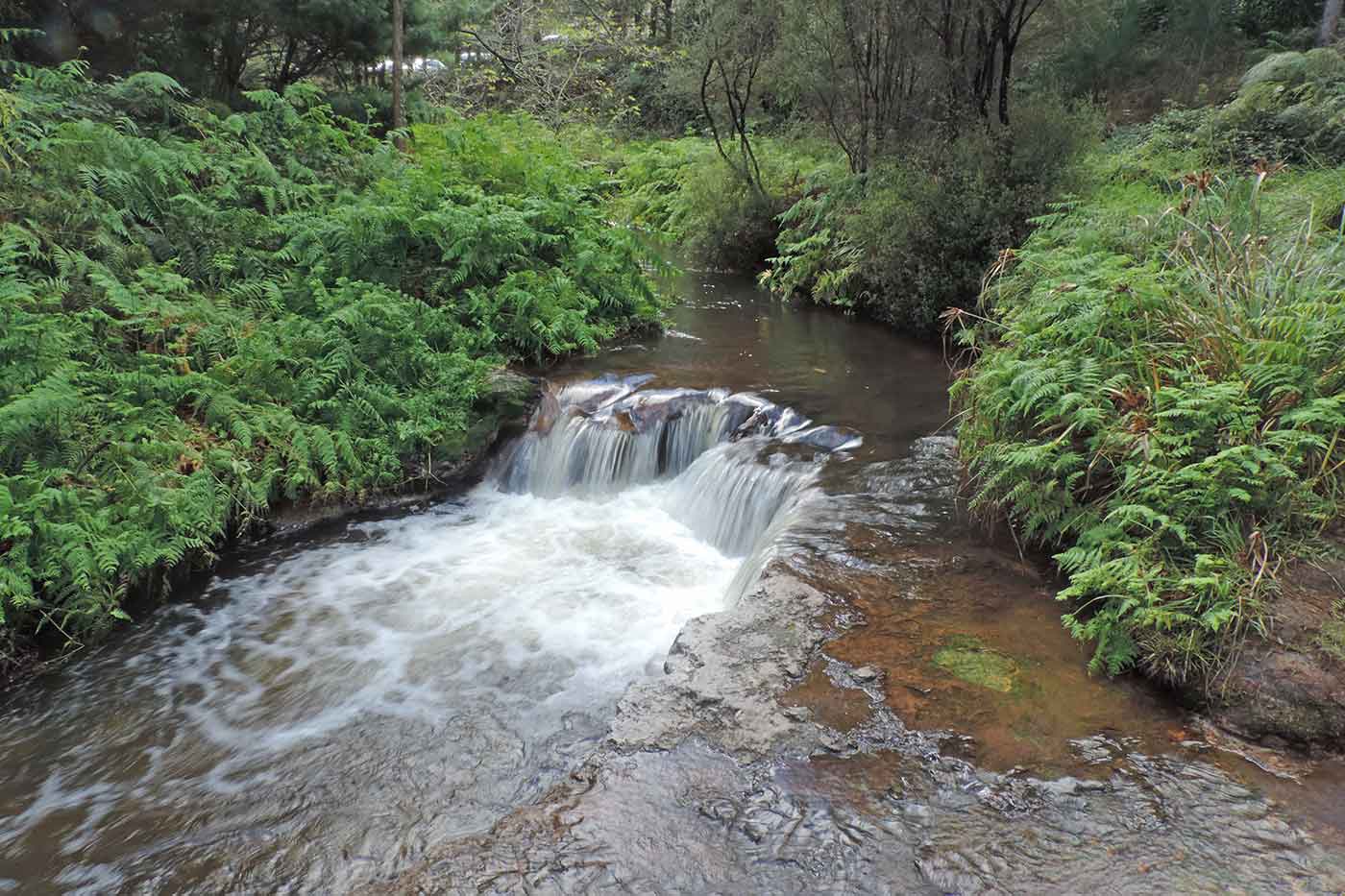 Kerosene Creek