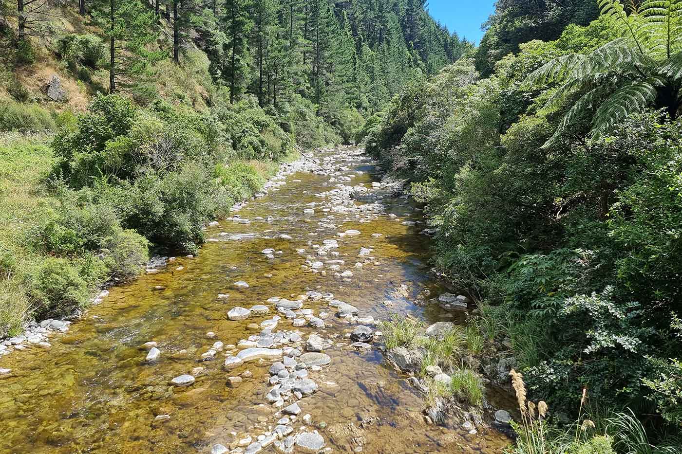 Maitai River Trail