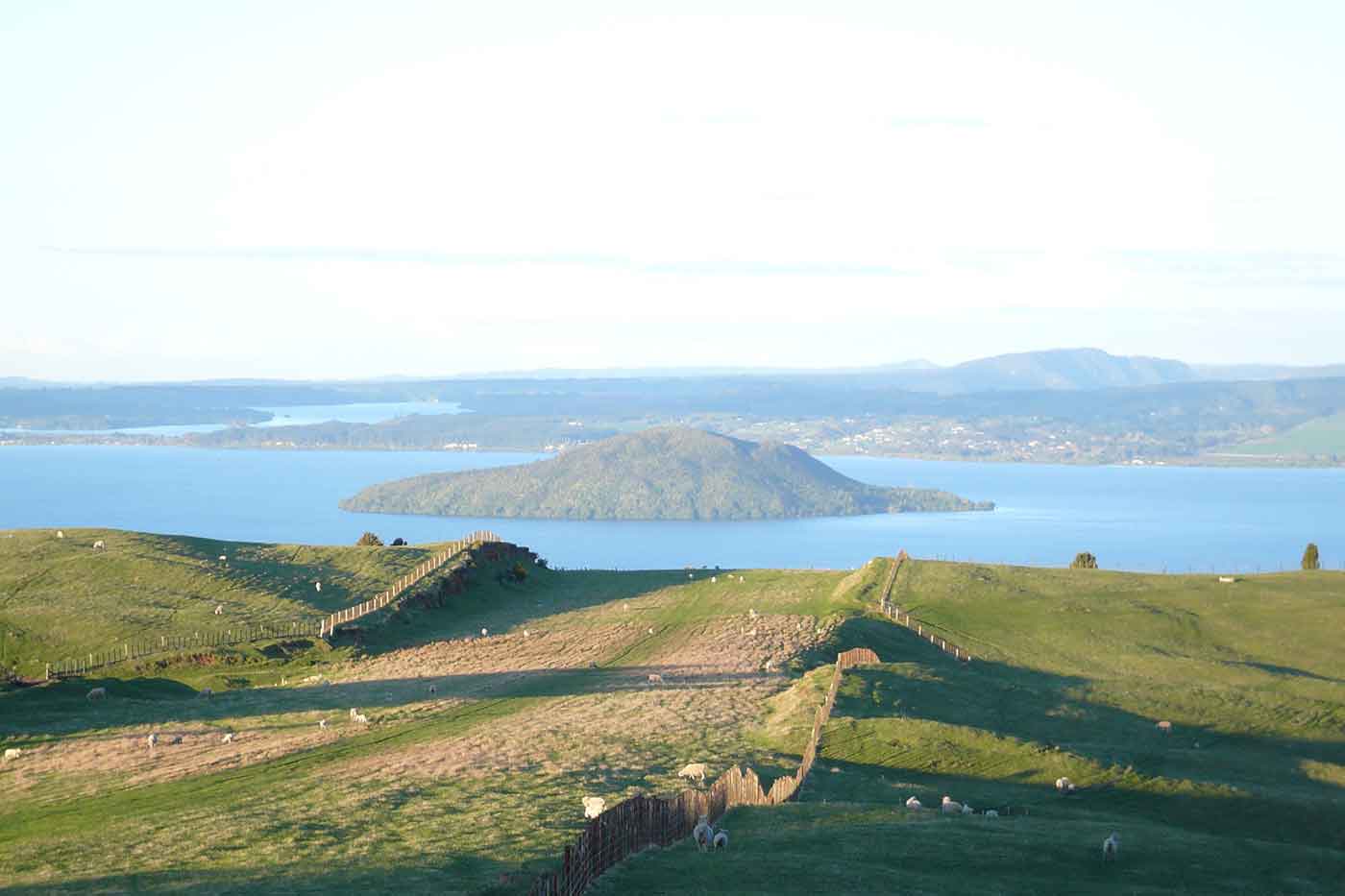 Mount Ngongotaha Scenic Reserve