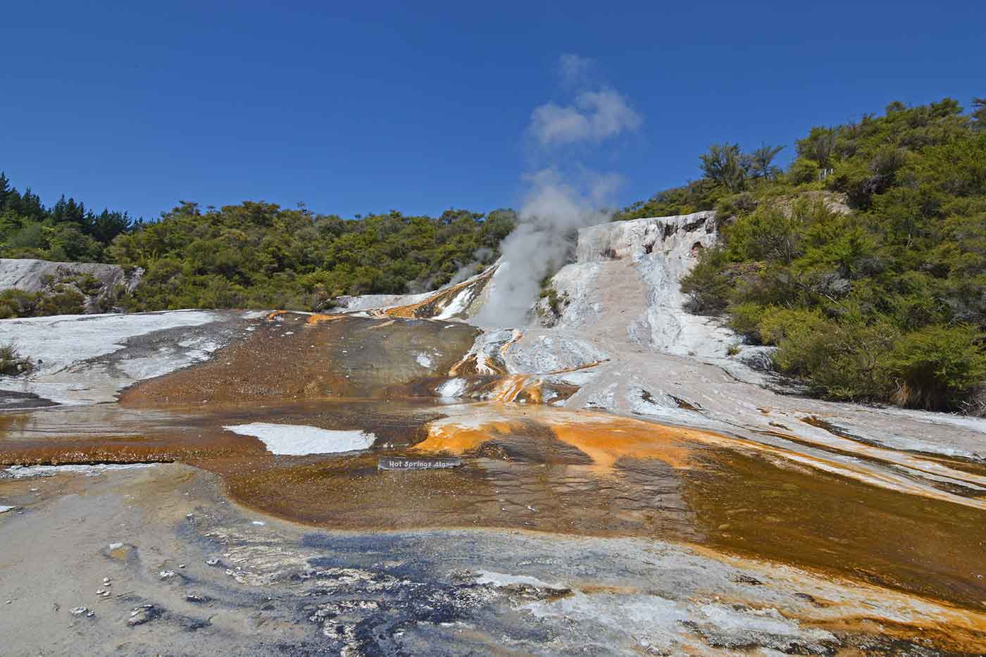 Orakei Korako Cave & Thermal Park