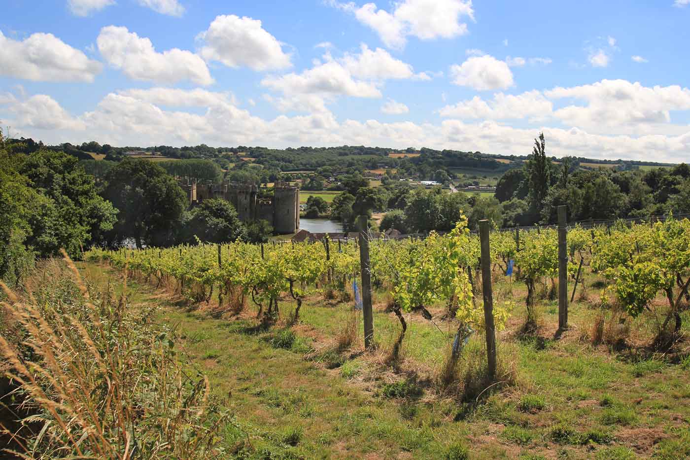 Sussex Vineyards