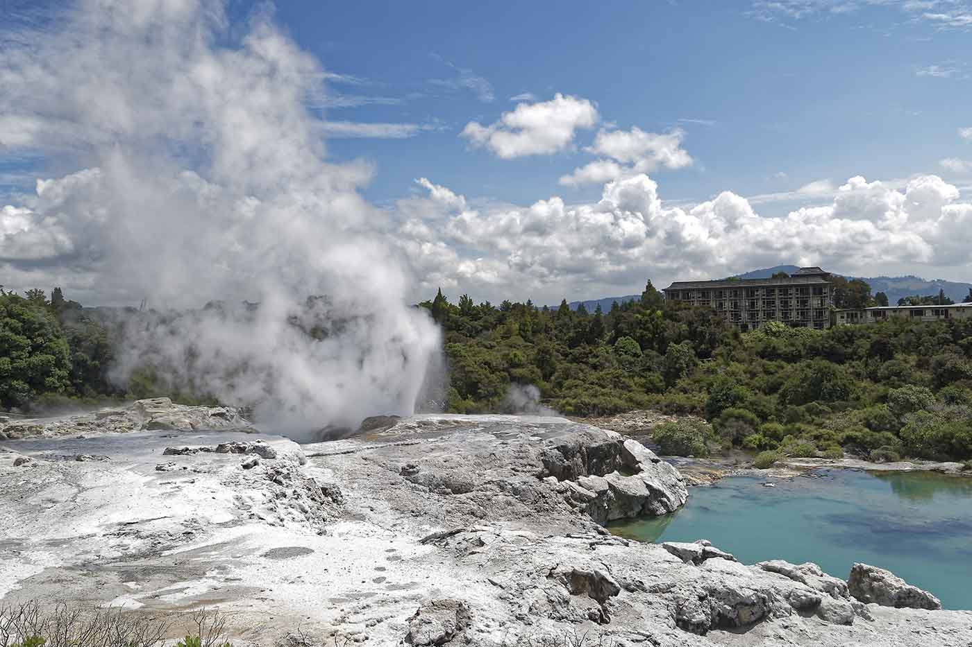 Te Puia Springs