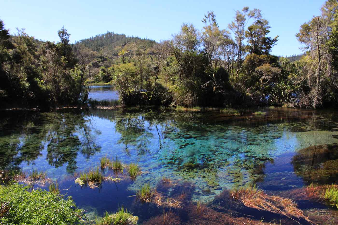 Te Waikoropupu Springs