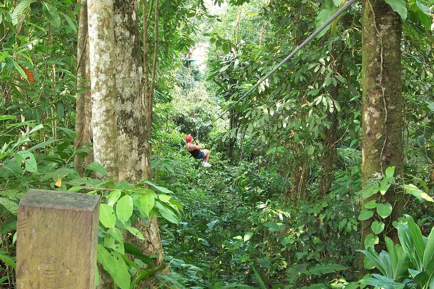 Zipline Canopy Forest Adventure