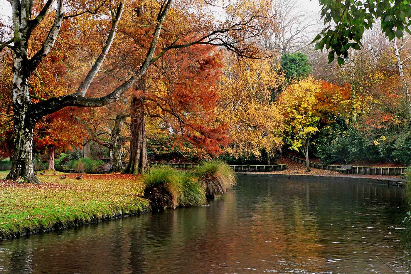 Christchurch Botanic Garden