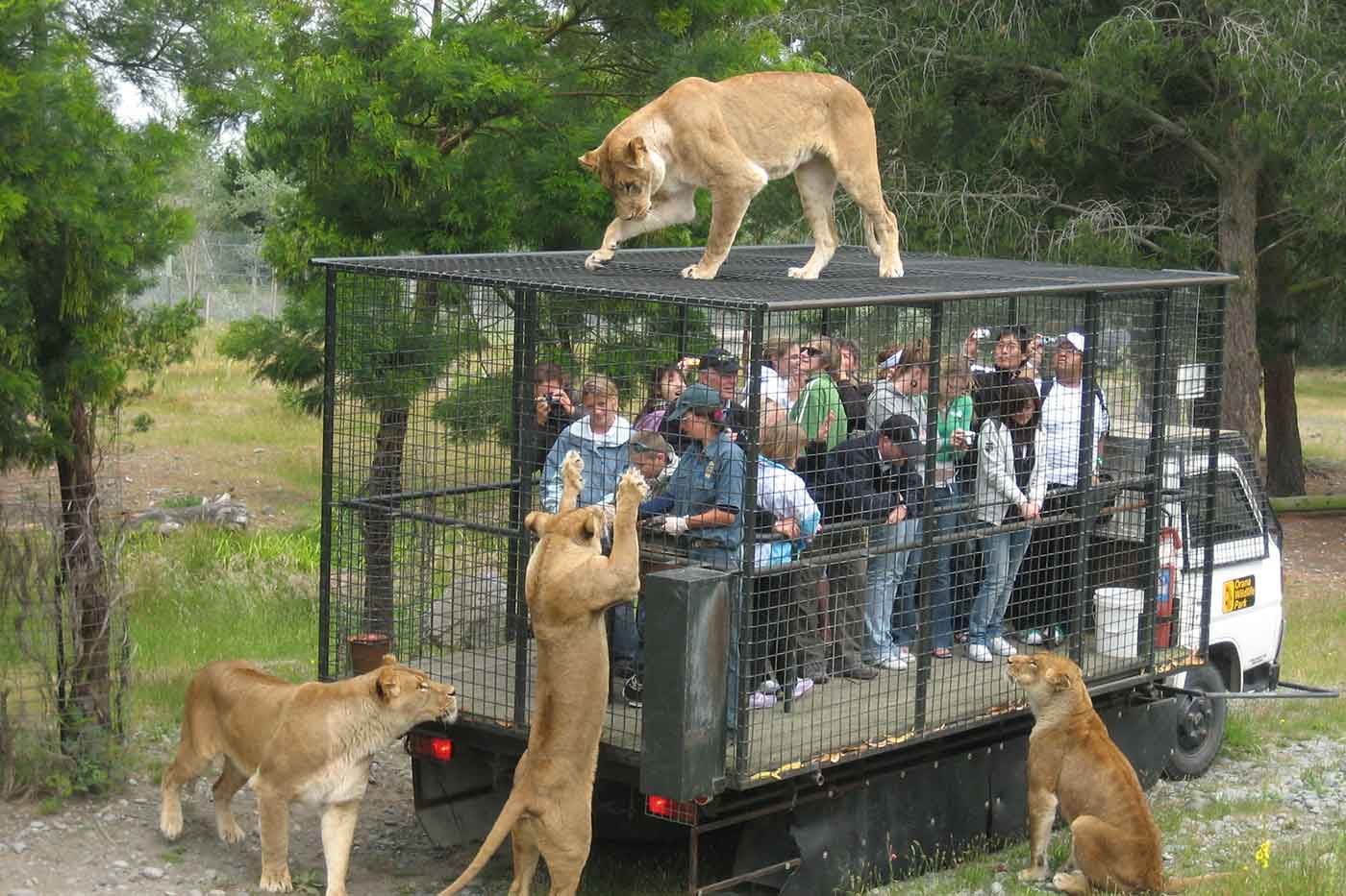 Orana Wildlife Park