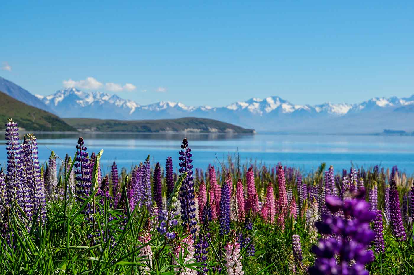 Tekapo Springs