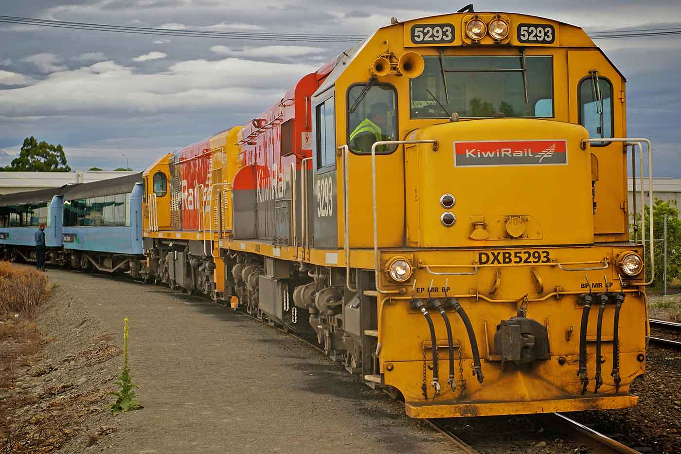 The TranzAlpine Train