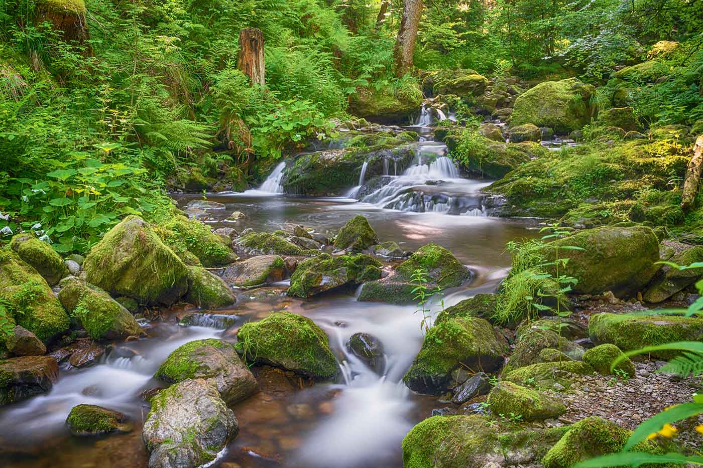 Rappenlochschlucht