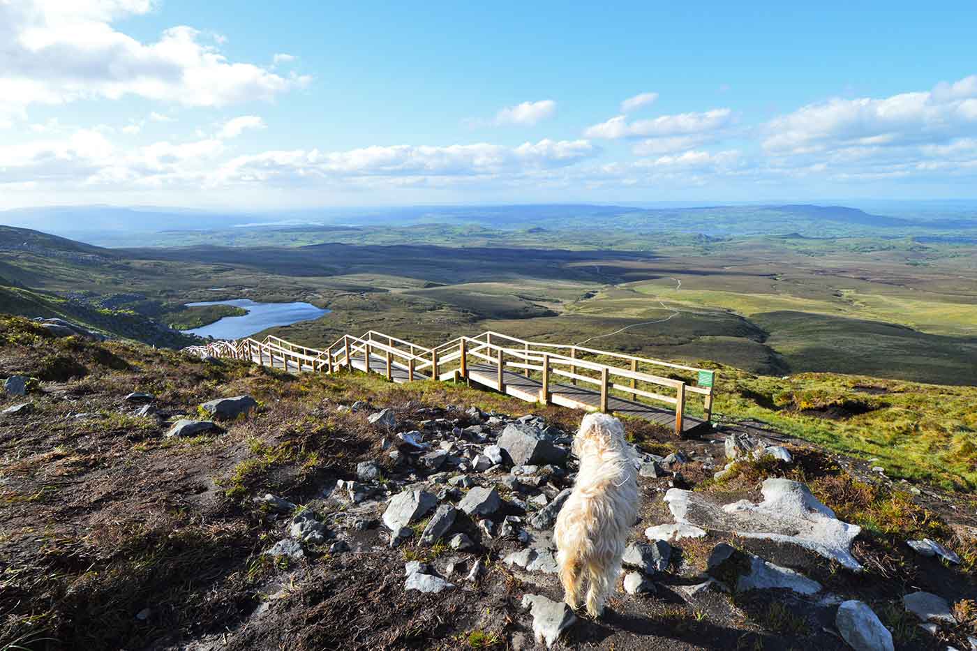 Cuilcagh Boardwalk Trail