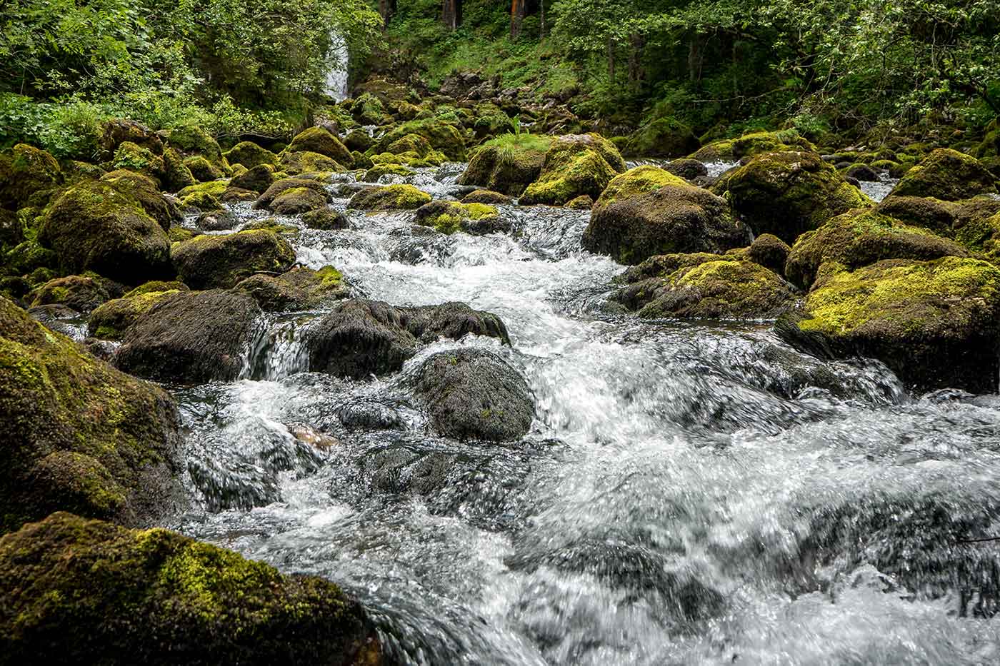 Pießling Ursprung Hiking Trail