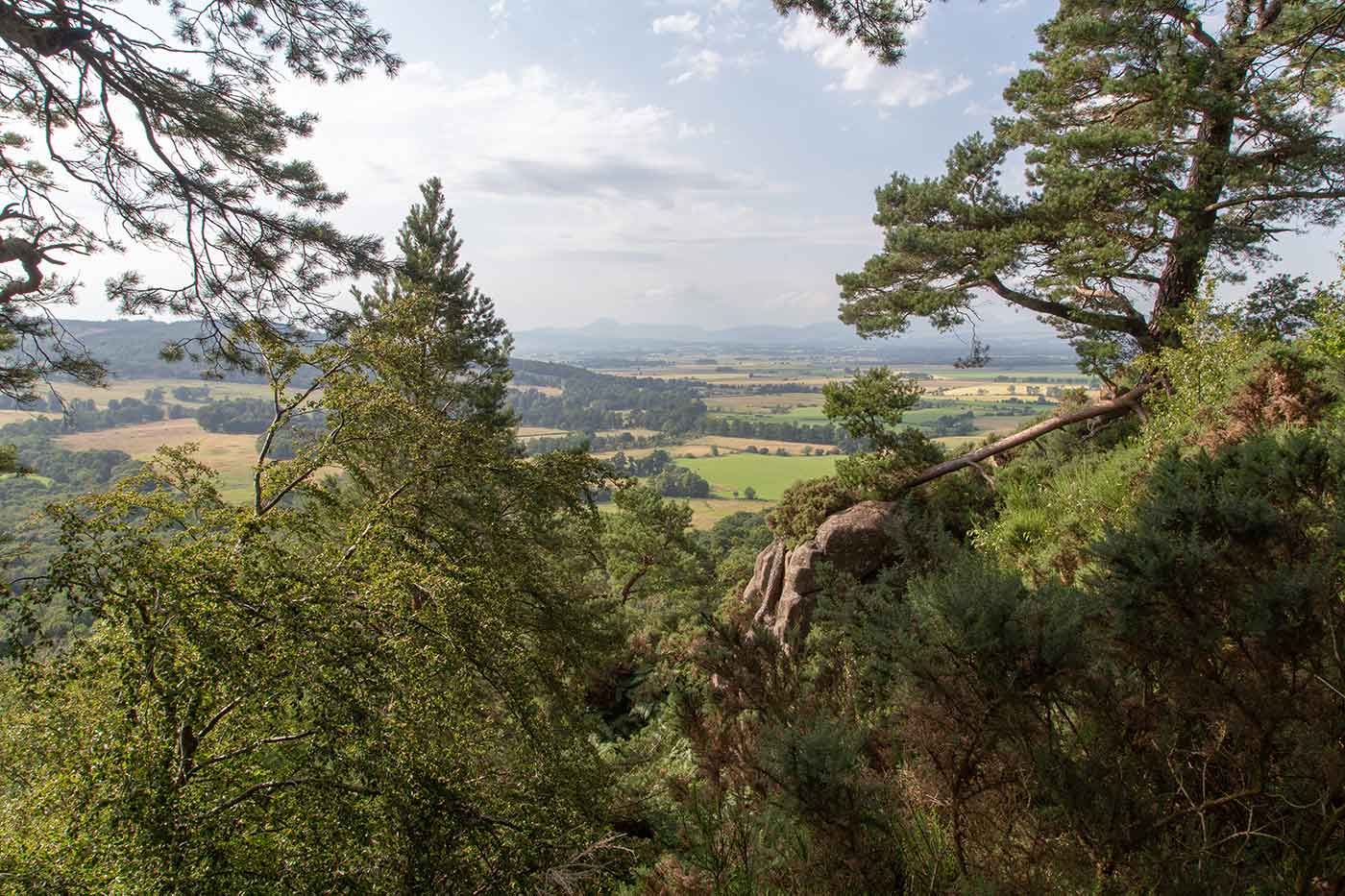 Gillies Hill