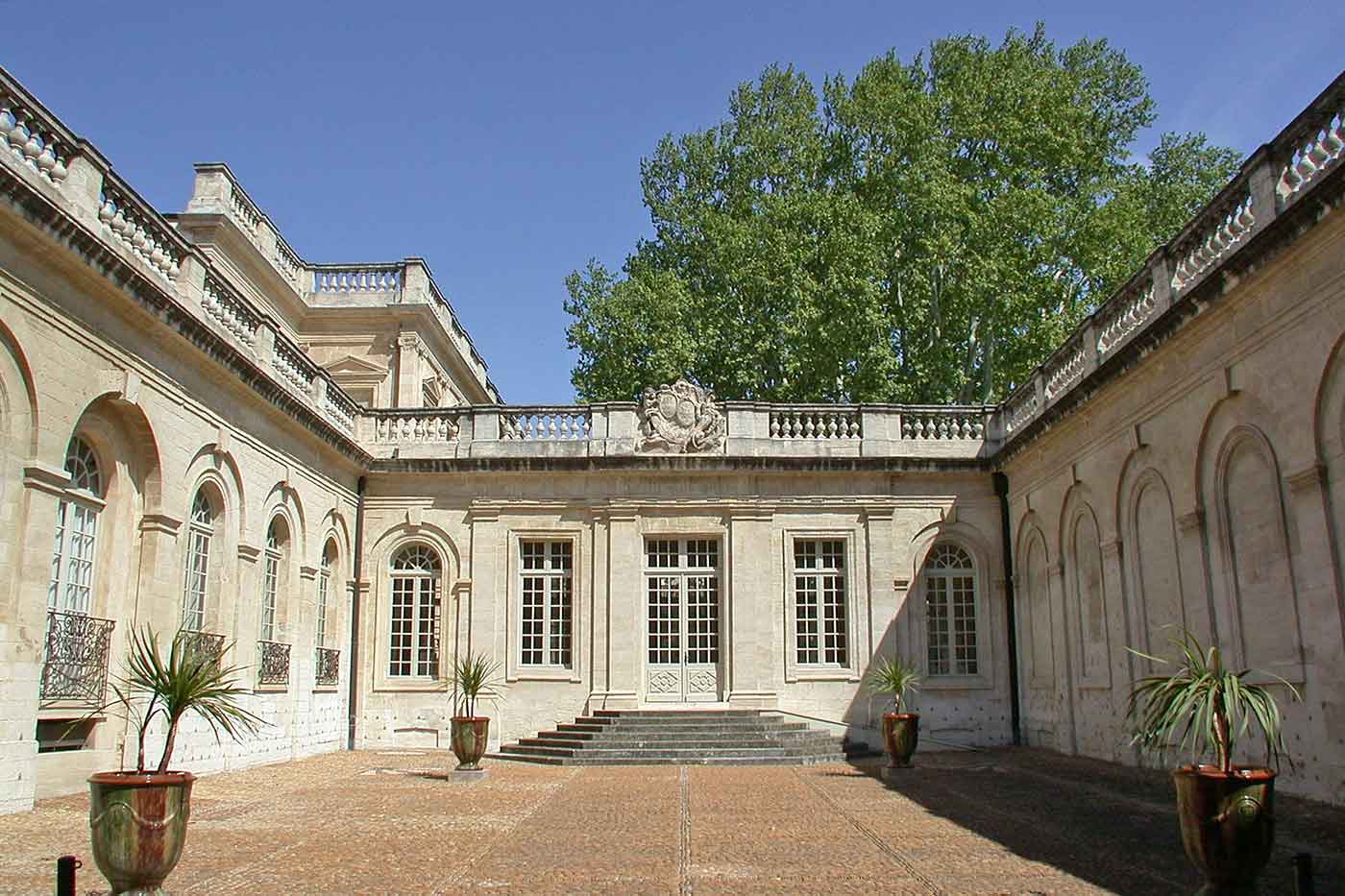 Musée Calvet