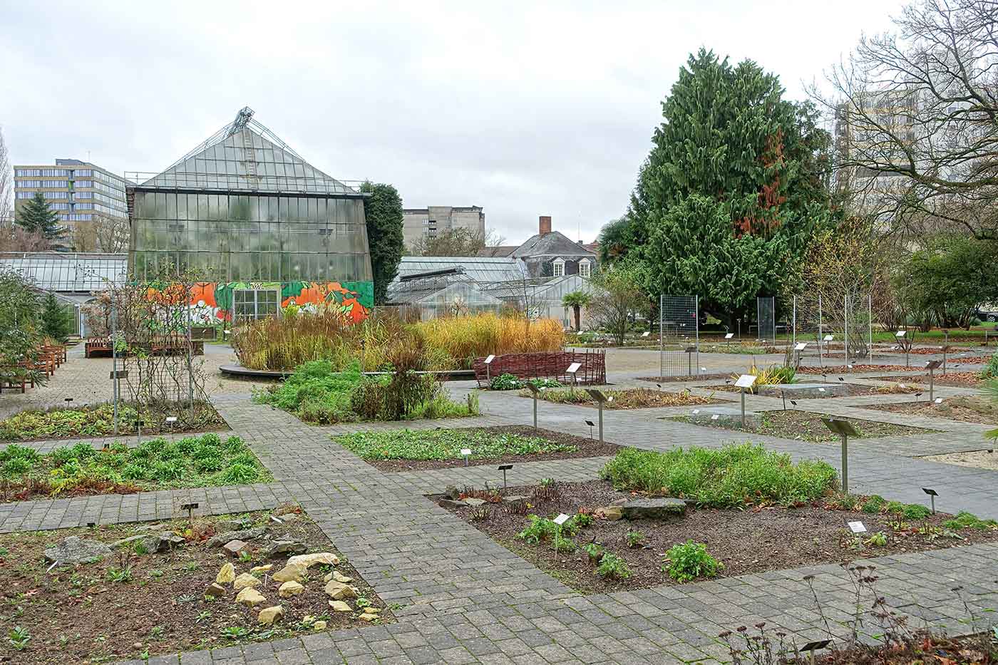 Botanical Garden of the University of Heidelberg