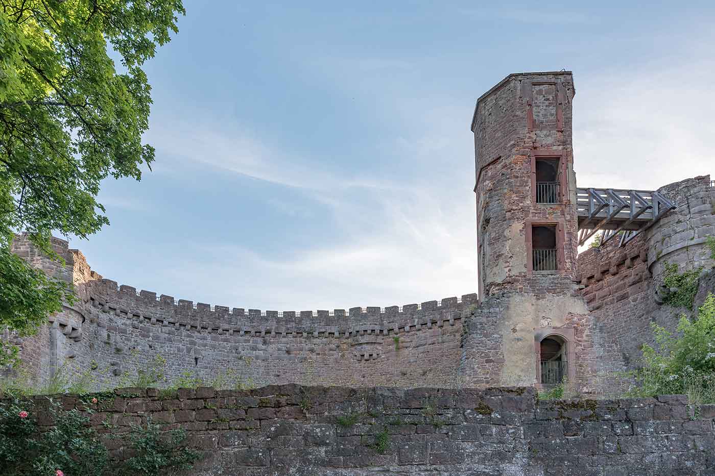 Dilsberg Castle