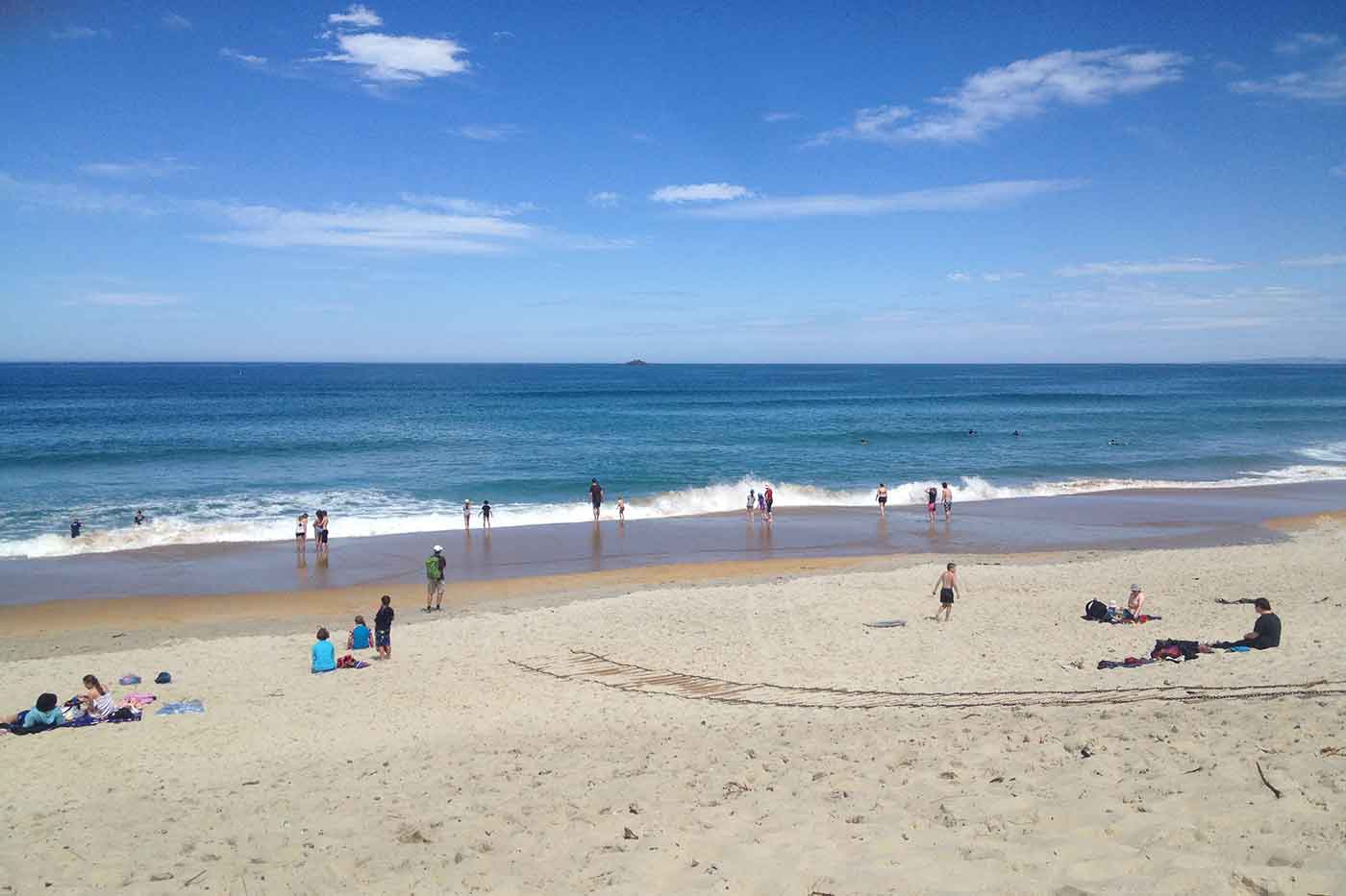 Beaches in Dunedin