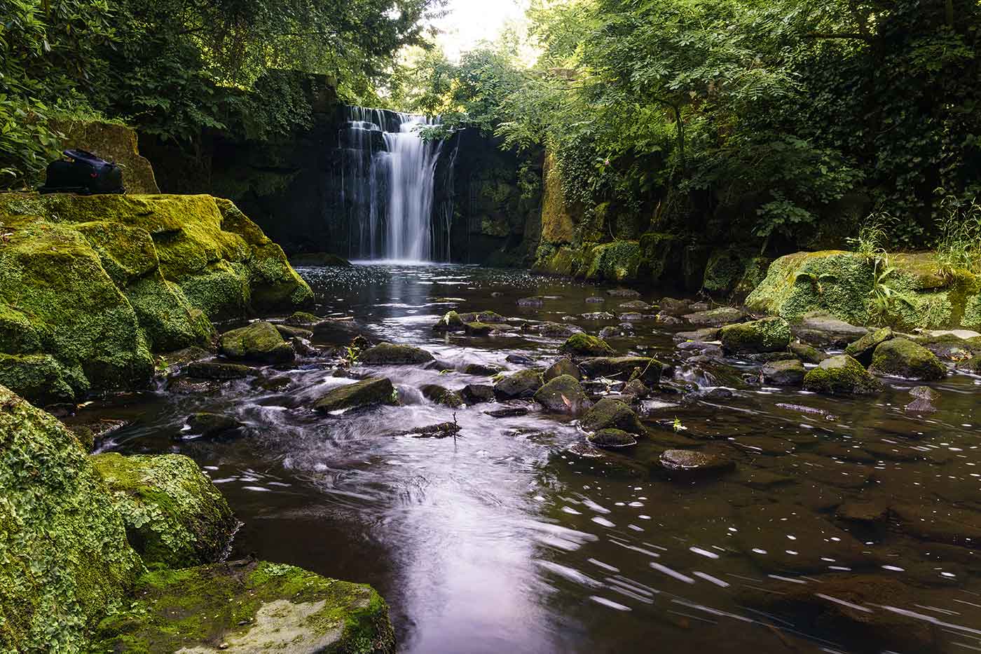 Jesmond Dene