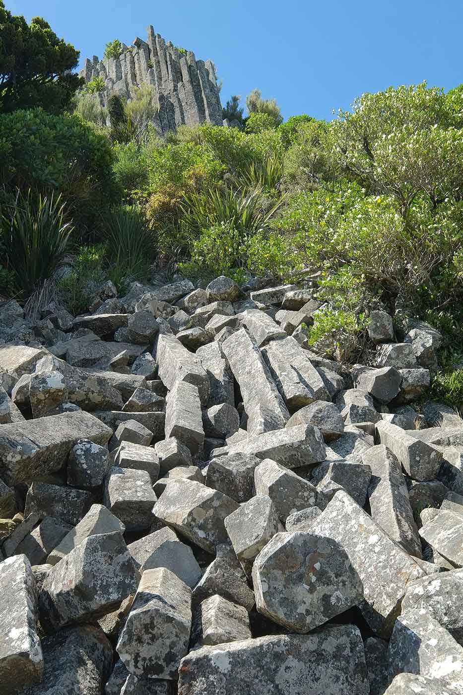 Mount Cargill Scenic Reserve