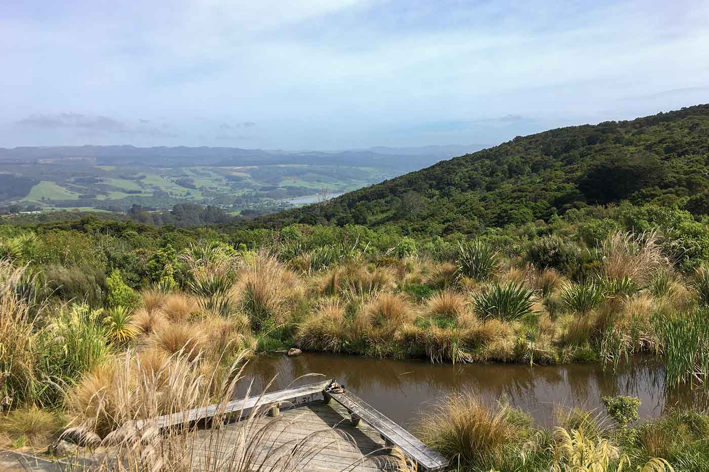 Orokonui Ecosanctuary