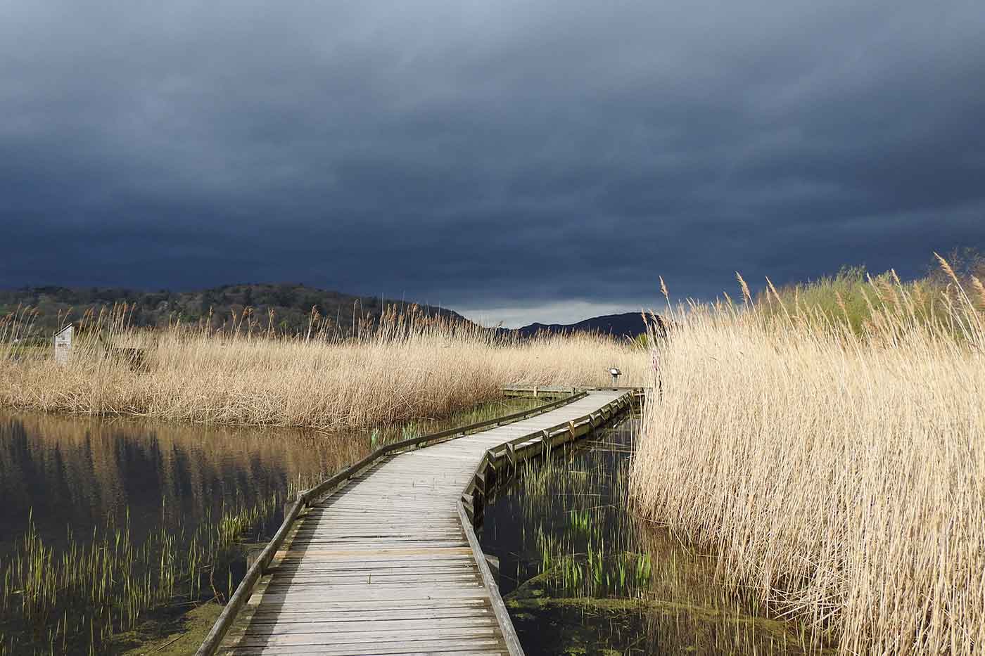 RSPB Conwy Nature Reserve