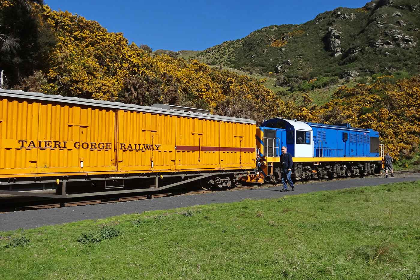 Taieri Gorge Train Ride