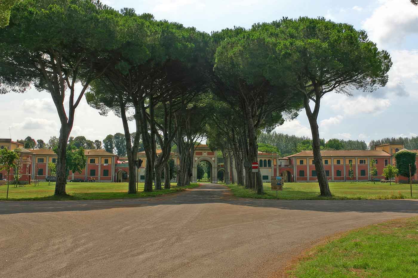 Parco di San Rossore