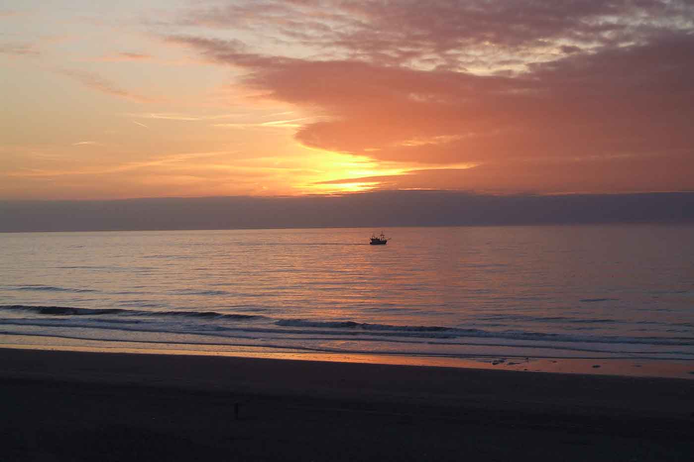 Beaches near Haarlem