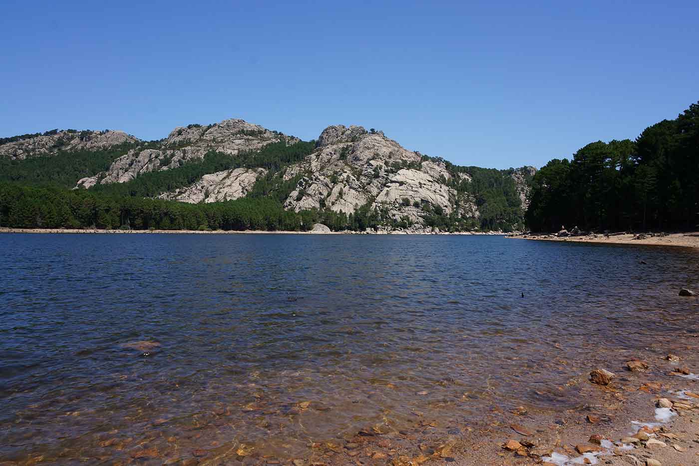 Ospedale Lake and Forest