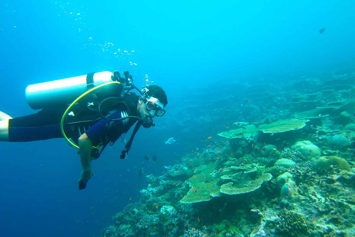 Scuba Diving in Corsica