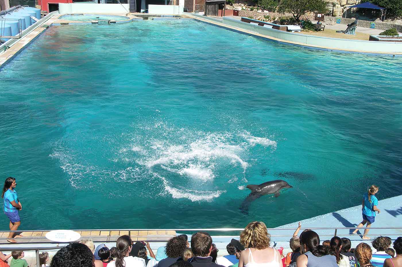 Bayworld Oceanarium