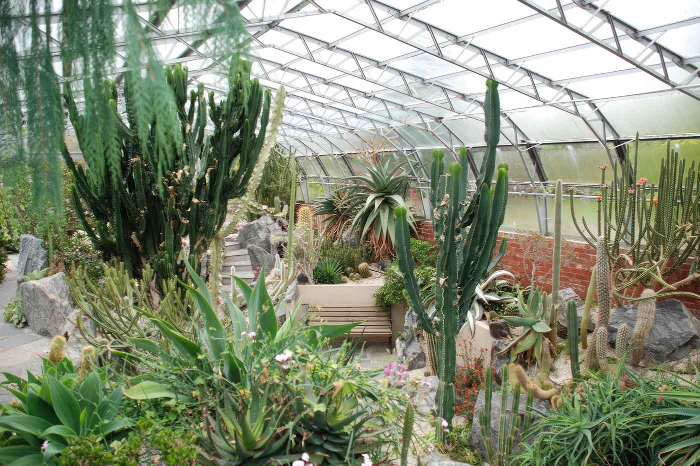 Inverness Botanic Gardens