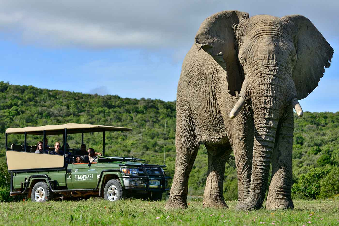 Shamwari Private Game Reserve