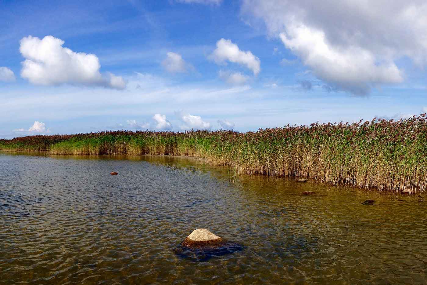 Vilsandi National Park