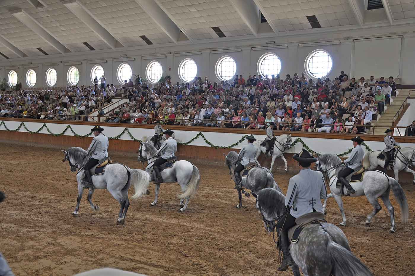 Andalusian Horse Show